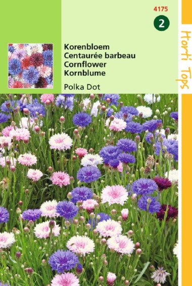 Cornflower Polka Dot (Centaurea) 300 seeds HT